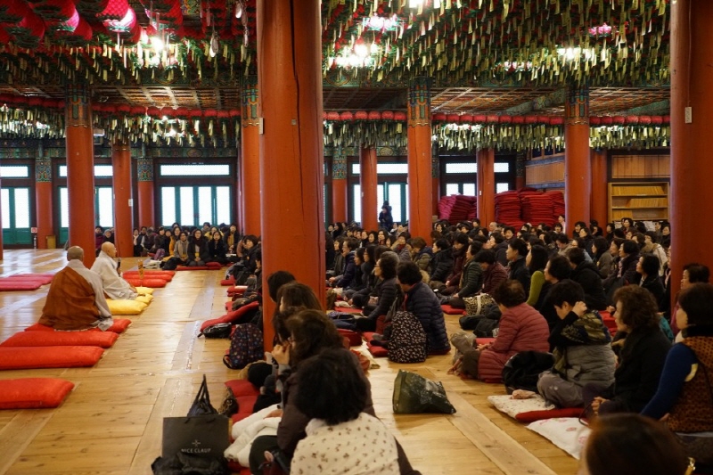 �뵵�� �ų��Ϸ� 2019��