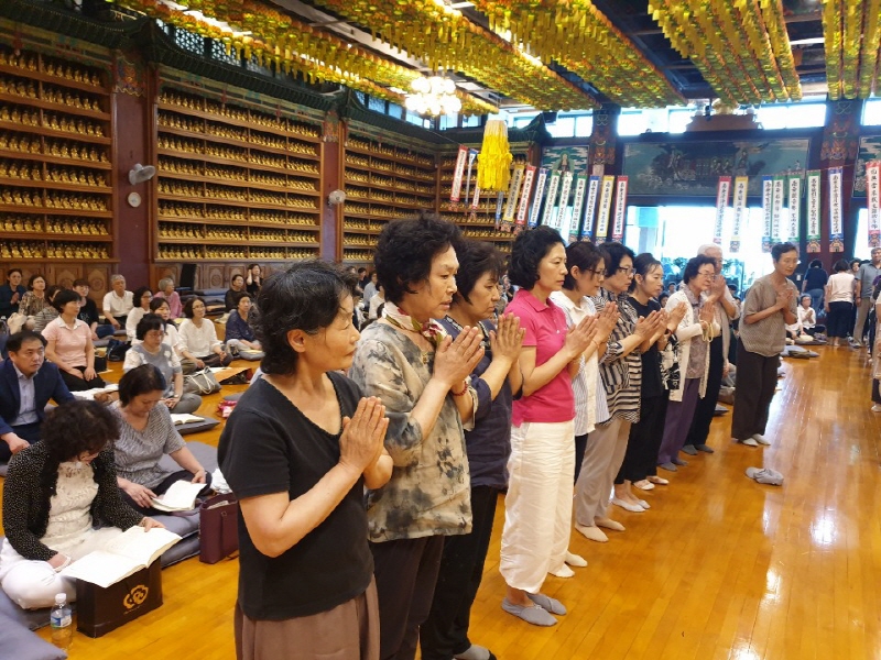 �������� 2019��