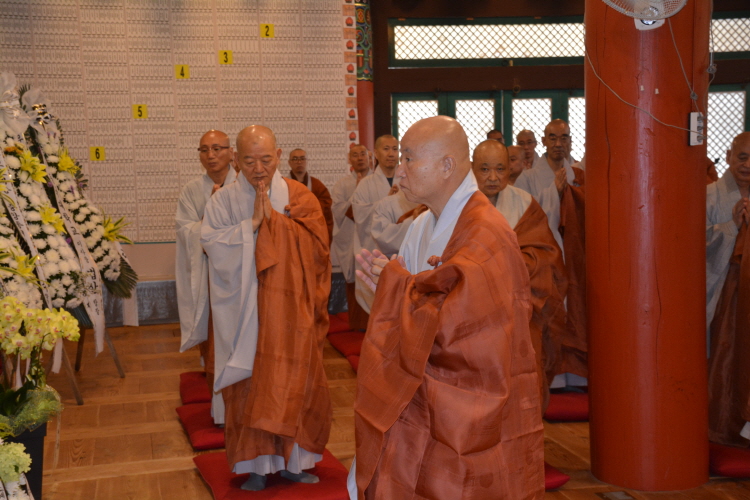 ȫ������ ����41�ֱ� �߸�ٷ�(2019�� 7��29��)