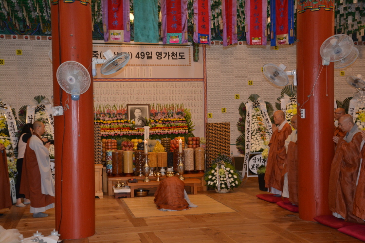 ȫ������ ����41�ֱ� �߸�ٷ�(2019�� 7��29��)