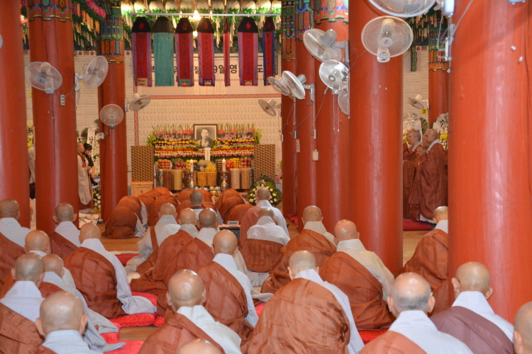 ȫ������ ����41�ֱ� �߸�ٷ�(2019�� 7��29��)