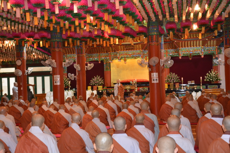 ȫ������ ����41�ֱ� �߸�ٷ�(2019�� 7��29��)