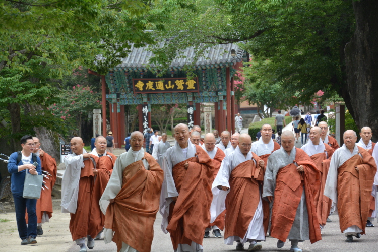 ȫ������ ����41�ֱ� �߸�ٷ�(2019�� 7��29��)