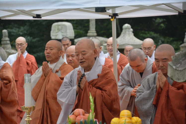 ȫ������ ����41�ֱ� �߸�ٷ�(2019�� 7��29��)