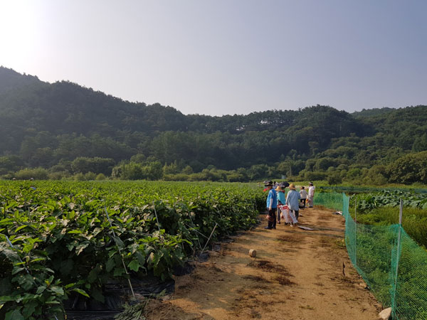 ��õ ���߿�� 2019��