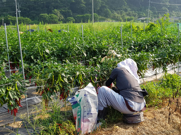 ��õ ���߿�� 2019��