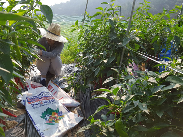 ��õ ���߿�� 2019��