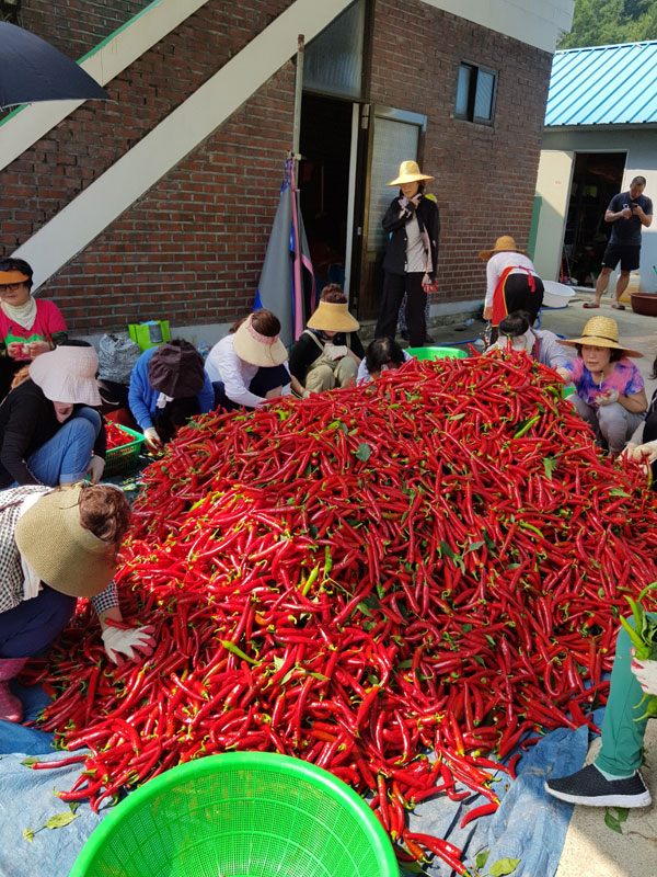 ��õ ���߿�� 2019��