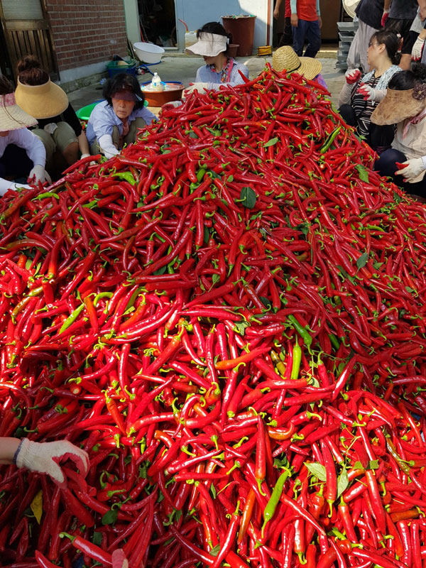 ��õ ���߿�� 2019��