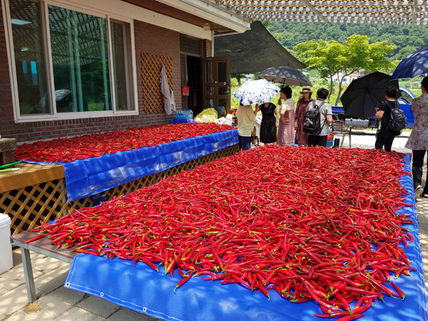 ��õ ���߿�� 2019��