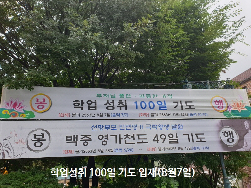 ���ɱ⵵���� 2019��