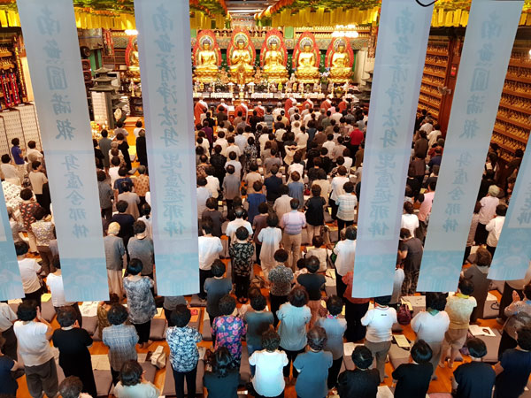 ����ȸ�� 2019��