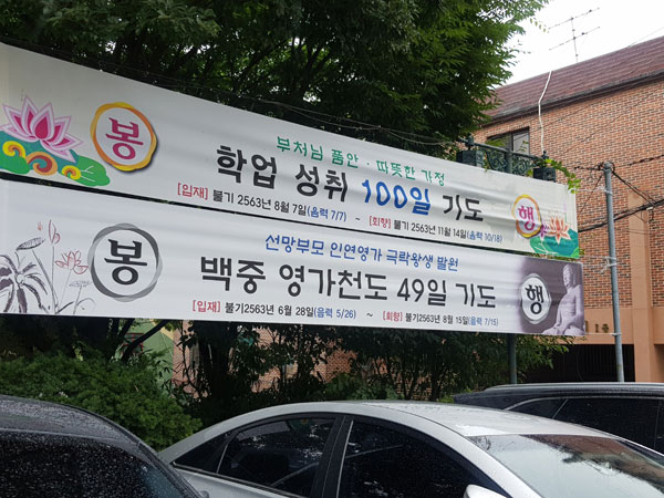 ����ȸ�� 2019��