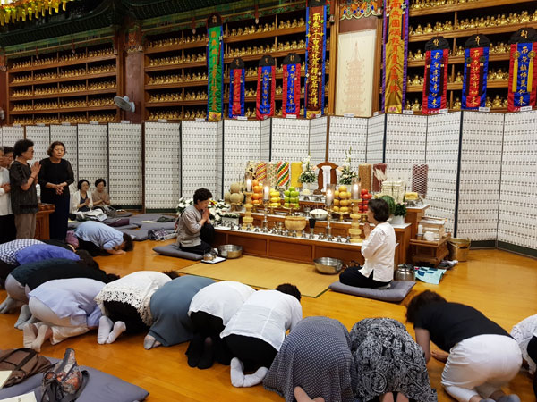 ����ȸ�� 2019��