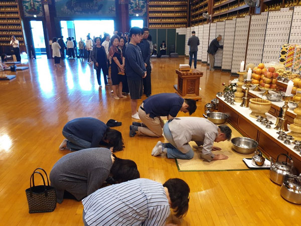 �߼��յ����� 2019��