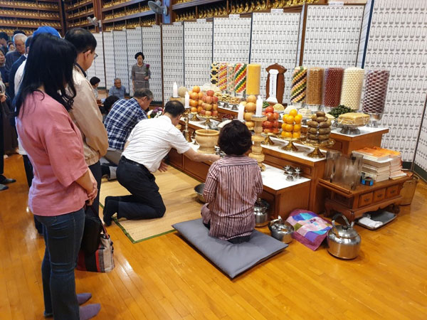 �߼��յ����� 2019��