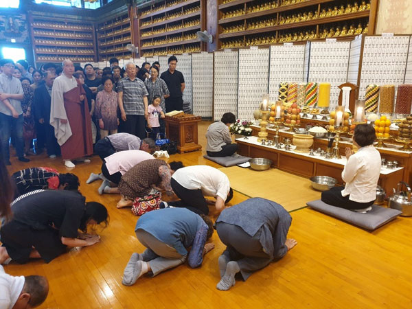 �߼��յ����� 2019��