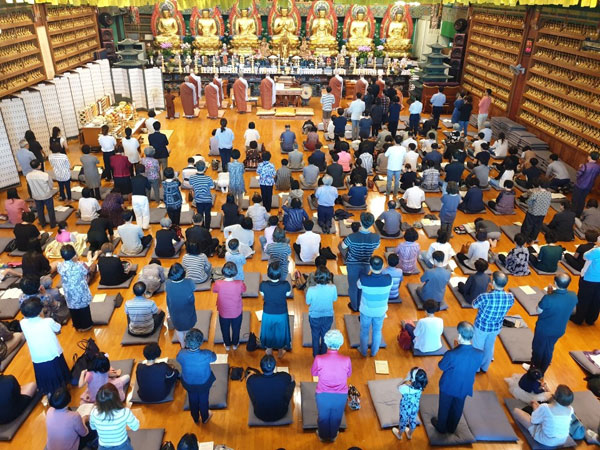 �߼��յ����� 2019��