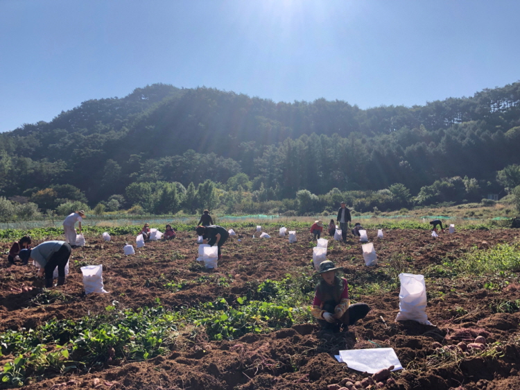 ��õ �ұ����� ������ ��Ȯ(2019�� 10��11��)