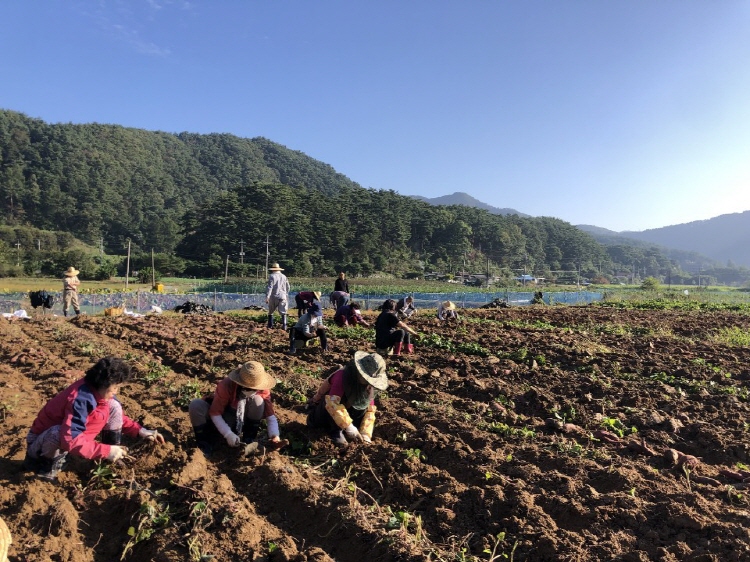 ��õ �ұ����� ������ ��Ȯ(2019�� 10��11��)