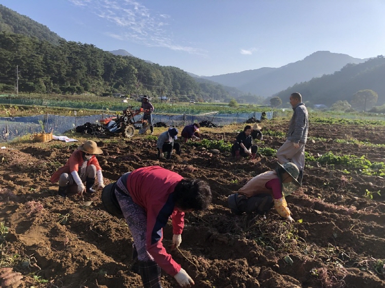 ��õ �ұ����� ������ ��Ȯ(2019�� 10��11��)