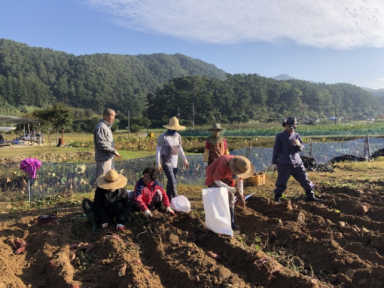 ��õ �ұ����� ������ ��Ȯ(2019�� 10��11��)