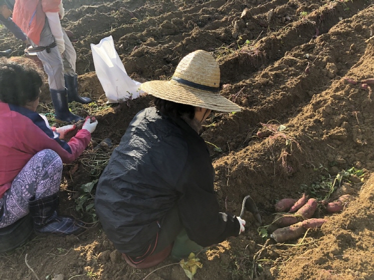 ��õ �ұ����� ������ ��Ȯ(2019�� 10��11��)