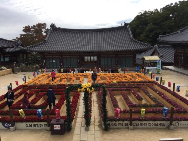 ��ȭ��, �Ȱ��� ������ ��������(2019��10��17��)