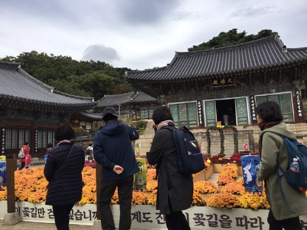 ��ȭ��, �Ȱ��� ������ ��������(2019��10��17��)