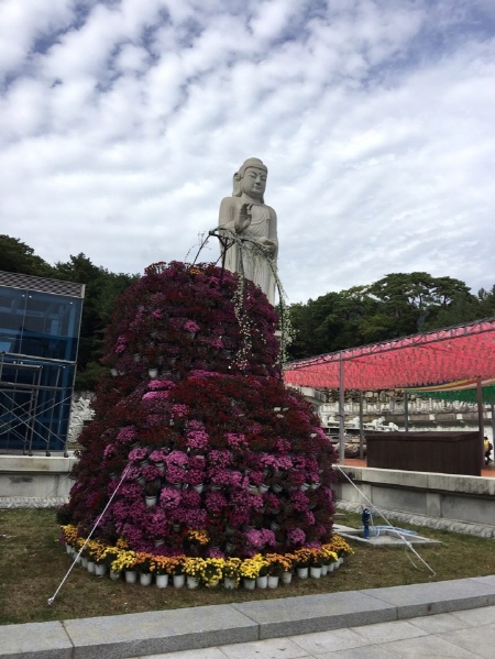 ��ȭ��, �Ȱ��� ������ ��������(2019��10��17��)