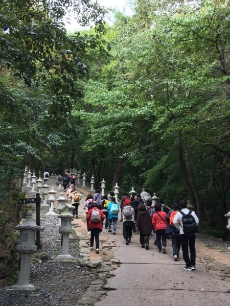 ��ȭ��, �Ȱ��� ������ ��������(2019��10��17��)