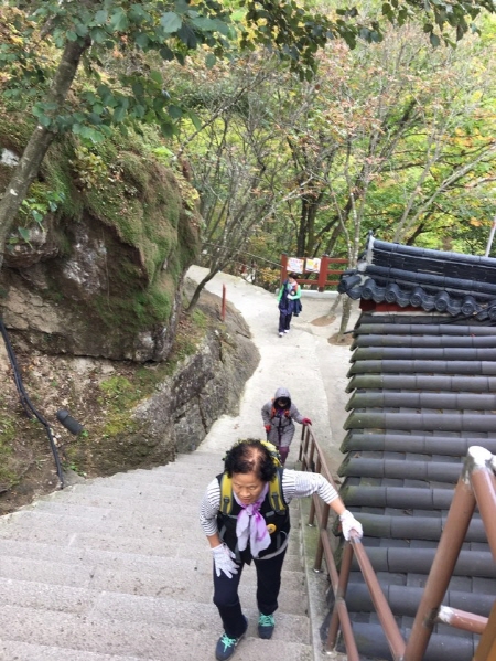 ��ȭ��, �Ȱ��� ������ ��������(2019��10��17��)