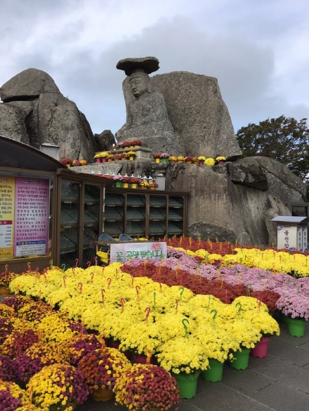 ��ȭ��, �Ȱ��� ������ ��������(2019��10��17��)