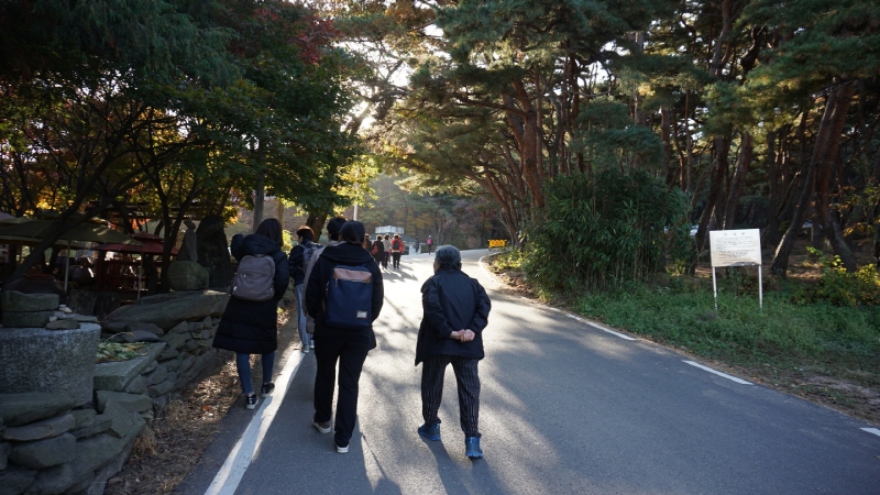 ��ȭ ������ ��������(2019�� 11�� 7��)