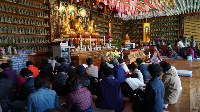 ��ȭ ������ ��������(2019�� 11�� 7��)