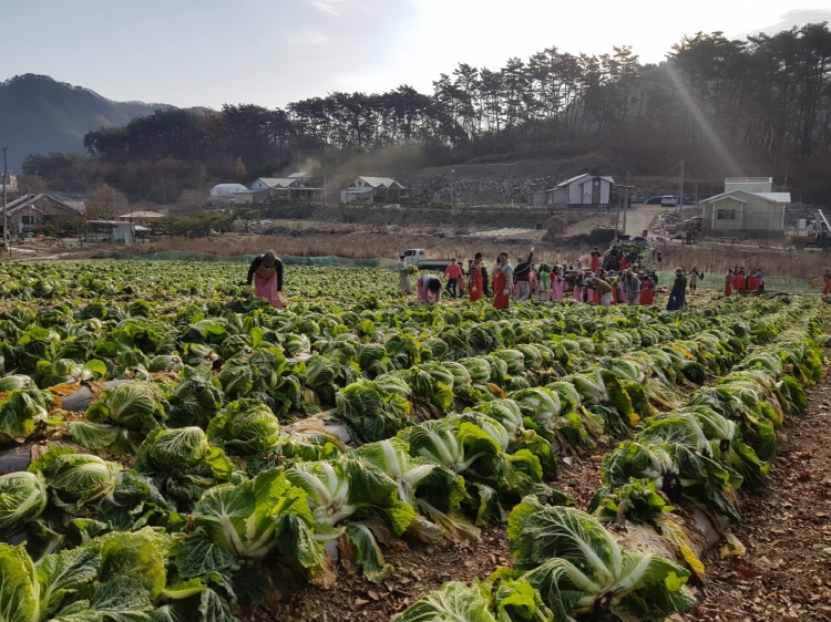 ������߼�Ȯ 2019��