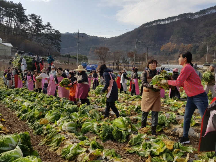 ������߼�Ȯ 2019��