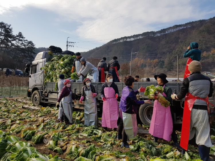 ������߼�Ȯ 2019��