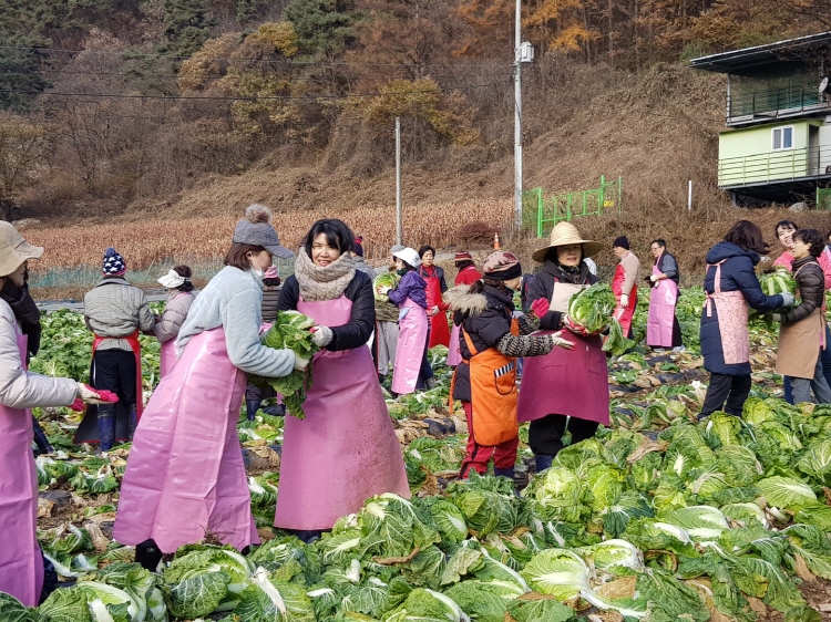 ������߼�Ȯ 2019��