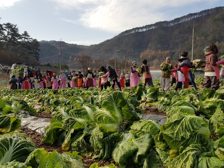 ������߼�Ȯ 2019��