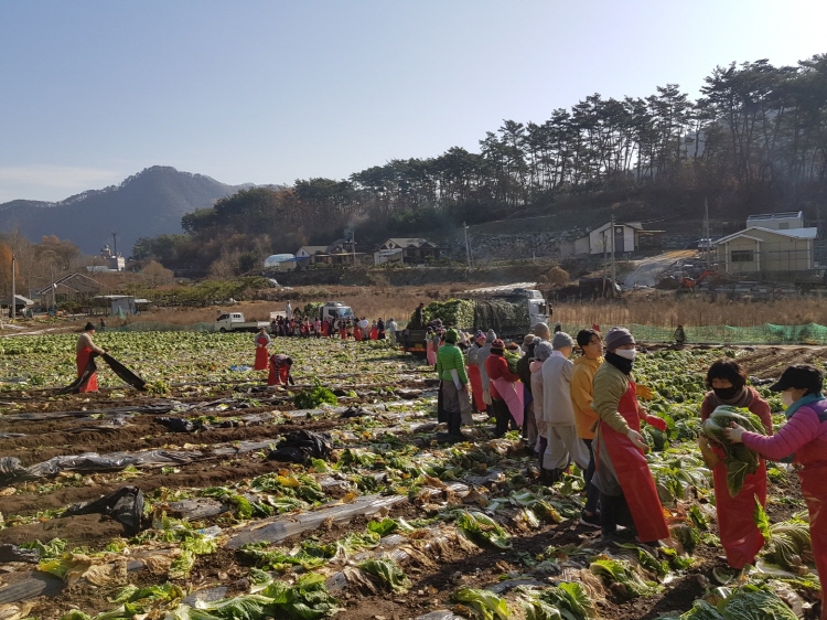 ������߼�Ȯ 2019��