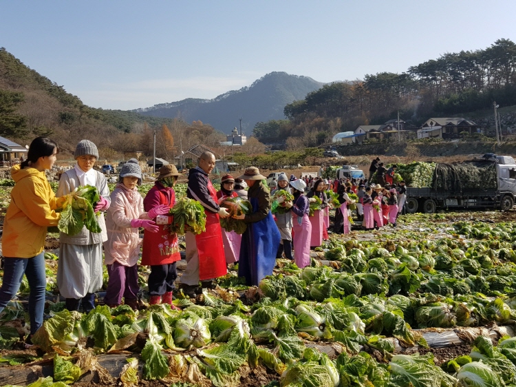 ������߼�Ȯ 2019��