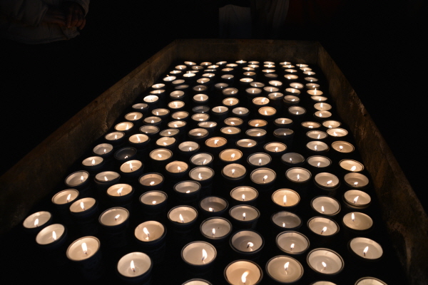 ����� �۳��ȸ �� Ÿ���� 2019��