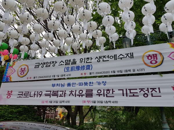 ���������� ����(2020�� 5�� 1��)