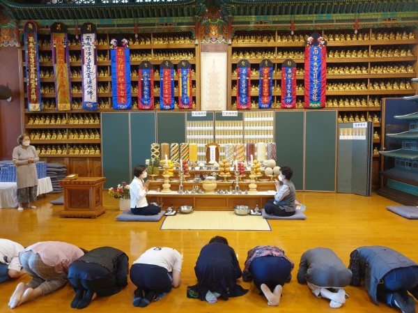 ���������� ����(2020�� 5�� 1��)