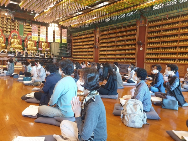 ���������� ����(2020�� 5�� 1��)