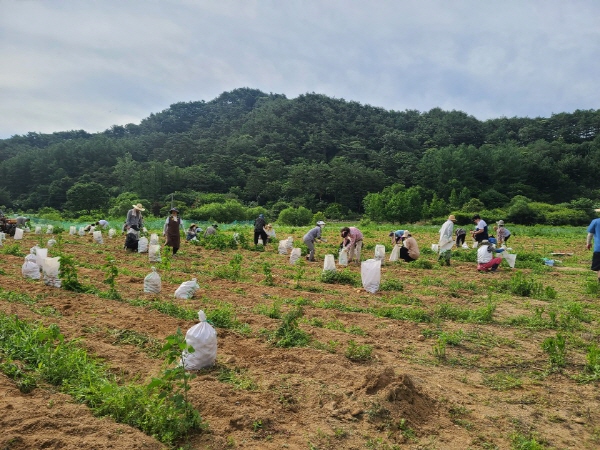 ��õ �ұ����� ���ڼ�Ȯ(2020. 7. 3)