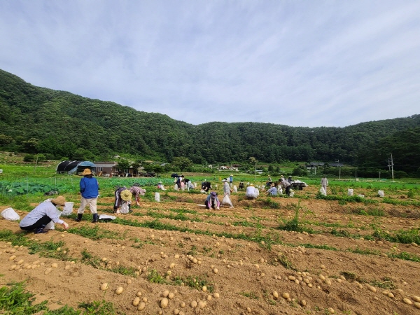 ��õ �ұ����� ���ڼ�Ȯ(2020. 7. 3)