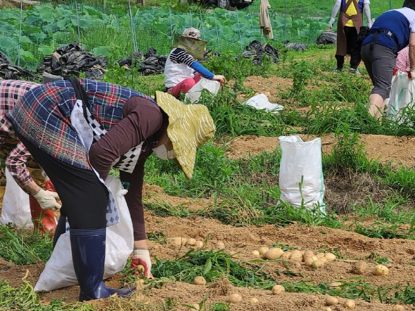 ��õ �ұ����� ���ڼ�Ȯ(2020. 7. 3)