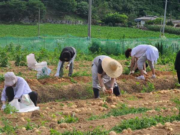 ��õ �ұ����� ���ڼ�Ȯ(2020. 7. 3)